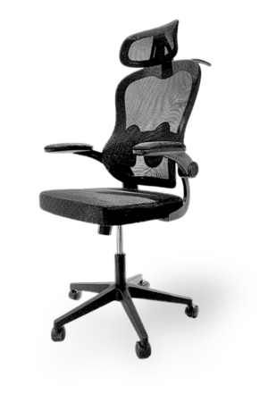 Silla ERGO